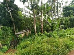 ESIS Hospital Mulagunnathukavu